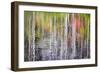 Forest Reflections II-Kathy Mahan-Framed Photographic Print