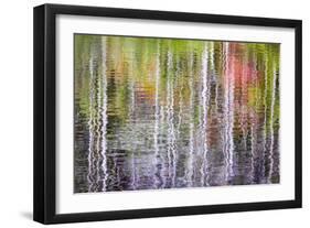 Forest Reflections II-Kathy Mahan-Framed Photographic Print