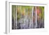 Forest Reflections II-Kathy Mahan-Framed Photographic Print