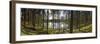 Forest Reflections-Henrik Lund-Framed Giclee Print