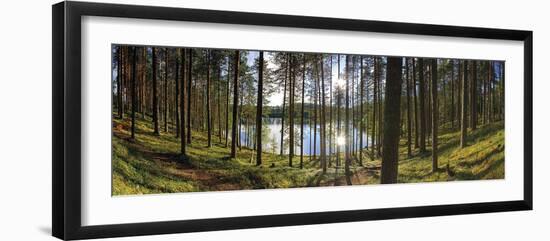 Forest Reflections-Henrik Lund-Framed Giclee Print