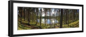 Forest Reflections-Henrik Lund-Framed Giclee Print