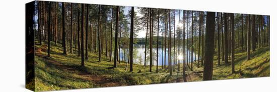 Forest Reflections-Henrik Lund-Stretched Canvas