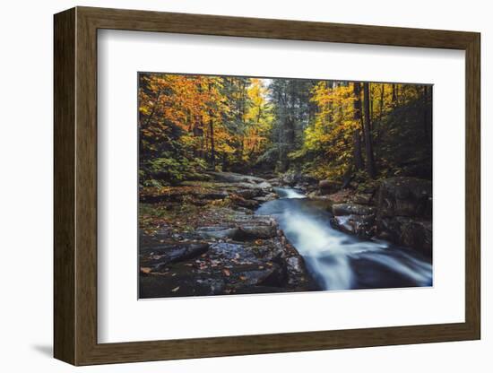 Forest River Dreams, Early Autumn - White Mountains, New Hampshire-Vincent James-Framed Photographic Print