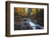 Forest River Dreams, Early Autumn - White Mountains, New Hampshire-Vincent James-Framed Photographic Print