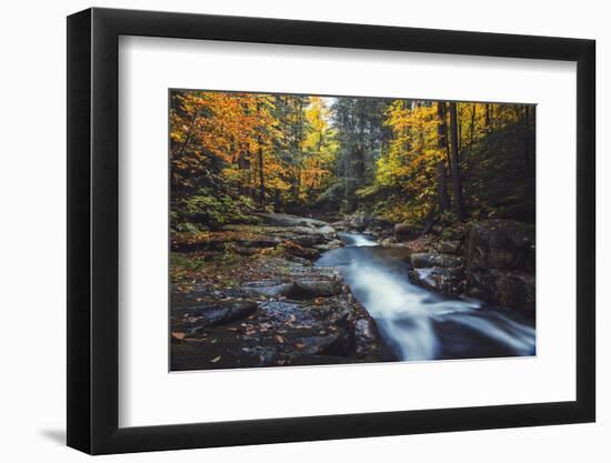 Forest River Dreams, Early Autumn - White Mountains, New Hampshire-Vincent James-Framed Photographic Print