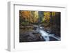 Forest River Dreams, Early Autumn - White Mountains, New Hampshire-Vincent James-Framed Photographic Print