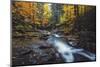 Forest River Dreams, Early Autumn - White Mountains, New Hampshire-Vincent James-Mounted Photographic Print