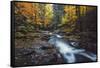 Forest River Dreams, Early Autumn - White Mountains, New Hampshire-Vincent James-Framed Stretched Canvas