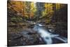 Forest River Dreams, Early Autumn - White Mountains, New Hampshire-Vincent James-Stretched Canvas