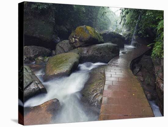 Forest River in the Sidonggou Nature Reserve Near Chushui, Guizhou Province, China, Asia-Christian Kober-Stretched Canvas