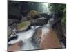 Forest River in the Sidonggou Nature Reserve Near Chushui, Guizhou Province, China, Asia-Christian Kober-Mounted Photographic Print