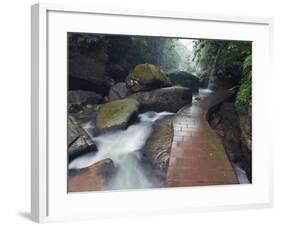 Forest River in the Sidonggou Nature Reserve Near Chushui, Guizhou Province, China, Asia-Christian Kober-Framed Photographic Print