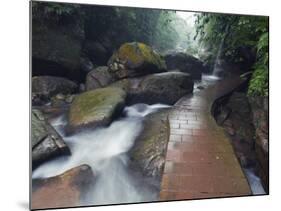 Forest River in the Sidonggou Nature Reserve Near Chushui, Guizhou Province, China, Asia-Christian Kober-Mounted Photographic Print