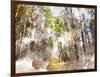 Forest Road I-Chamira Young-Framed Art Print