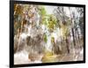 Forest Road I-Chamira Young-Framed Art Print