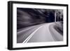 Forest Road Trip BW-Steve Gadomski-Framed Photographic Print