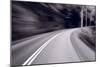 Forest Road Trip BW-Steve Gadomski-Mounted Photographic Print