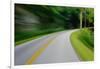 Forest Road Trip-Steve Gadomski-Framed Photographic Print