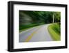 Forest Road Trip-Steve Gadomski-Framed Photographic Print