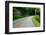 Forest Road Trip-Steve Gadomski-Framed Photographic Print