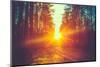 Forest Road under Sunset Sunbeams. Lane Running through the Autumn Deciduous Forest at Dawn or Sunr-Grisha Bruev-Mounted Photographic Print