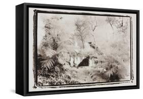 Forest Ruins, Guatemala-Theo Westenberger-Framed Stretched Canvas