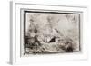 Forest Ruins, Guatemala-Theo Westenberger-Framed Photographic Print