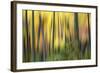 Forest Run II-James McLoughlin-Framed Photographic Print