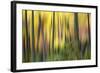 Forest Run II-James McLoughlin-Framed Photographic Print