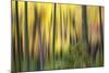 Forest Run II-James McLoughlin-Mounted Photographic Print
