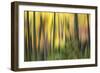 Forest Run II-James McLoughlin-Framed Photographic Print