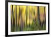 Forest Run II-James McLoughlin-Framed Photographic Print