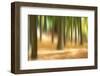 Forest Run III-James McLoughlin-Framed Photographic Print