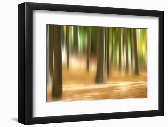 Forest Run III-James McLoughlin-Framed Photographic Print