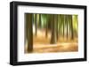 Forest Run III-James McLoughlin-Framed Photographic Print