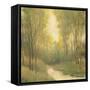 Forest Sanctuary I-Tim OToole-Framed Stretched Canvas