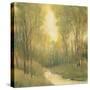 Forest Sanctuary I-Tim OToole-Stretched Canvas