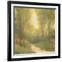 Forest Sanctuary I-Tim OToole-Framed Art Print