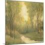 Forest Sanctuary I-Tim OToole-Mounted Art Print