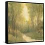 Forest Sanctuary I-Tim OToole-Framed Stretched Canvas