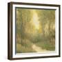 Forest Sanctuary I-Tim OToole-Framed Art Print