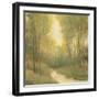 Forest Sanctuary I-Tim OToole-Framed Art Print