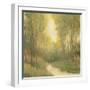 Forest Sanctuary I-Tim OToole-Framed Art Print