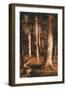 Forest Scene, 1901-15-Ralph Albert Blakelock-Framed Giclee Print