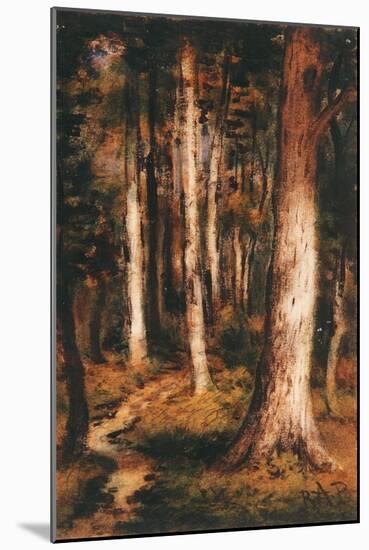 Forest Scene, 1901-15-Ralph Albert Blakelock-Mounted Giclee Print