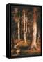 Forest Scene, 1901-15-Ralph Albert Blakelock-Framed Stretched Canvas