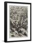 Forest Scene in Cuba-null-Framed Giclee Print