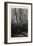 Forest Scene in Spring, 1882-null-Framed Giclee Print