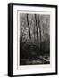 Forest Scene in Spring, 1882-null-Framed Giclee Print